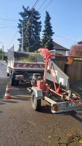 Photo de galerie - Broyage après abattage 