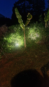 Photo de galerie - Spot au sol !