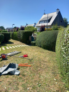 Photo de galerie - Taille de haie


