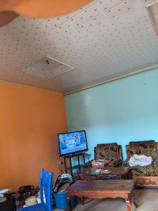 Photo de galerie - Réalisation de peinture murale 