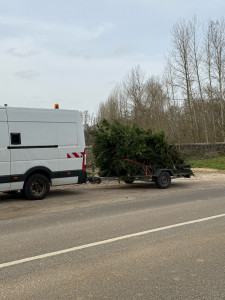 Photo de galerie - Taille de haies