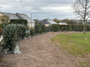 Photo de galerie - Plantation / retouche gazon 