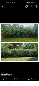 Photo de galerie - Taille d une haie 