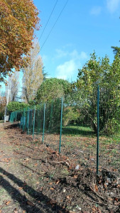 Photo de galerie - Clôture grillage souple 