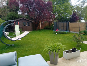 Photo de galerie - AVANT tontes de pelouse courtes 