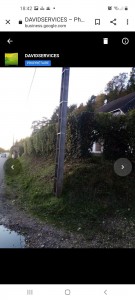 Photo de galerie - Taille de haies et d'arbustes