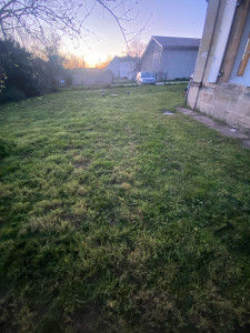 Photo de galerie - Tonte 