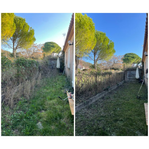 Photo de galerie - Taille de ronces et Debrousaillage 