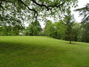 Photo de galerie - Tonte 