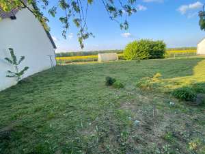 Photo de galerie - Tonte de pelouse - Débroussaillage