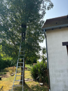 Photo de galerie - Dégagement de toiture