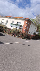 Photo de galerie - Taille de haies et d'arbustes