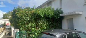 Photo de galerie - Taille de haies et d'arbustes