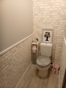 Photo de galerie - Pose papier peint et murs peinture dans des wc