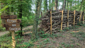 Photo de galerie - Haie Benjes = stockage des rémanents