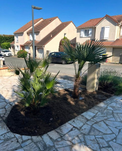 Photo de galerie - Plantation sur la commune de Villabé 