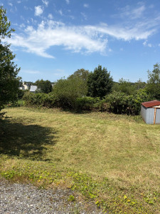 Photo de galerie - Tonte de pelouse - Débroussaillage