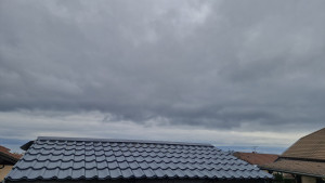 Photo de galerie - Petry 