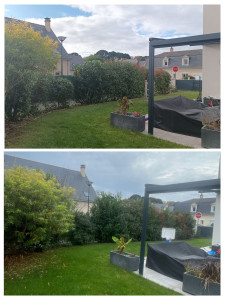 Photo de galerie - Taille de haie bocagère