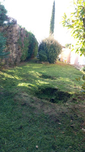 Photo de galerie - Aguiar Silva Antonio 