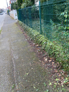 Photo de galerie - Avant intervention 