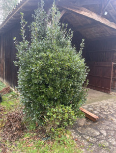 Photo de galerie - 1