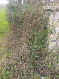 Photo de galerie - Jardinier