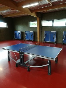 Photo de galerie - C'est une table ping-pong de la Salle de Sport de La Baumette,un endroit où j'aimerai y rejouer avec un partenaire que je vais sans doute trouver grace à AlloVoisins ? ✌? chui pas un pro,donc tkt,tu seras le bienvenu pour qu'on essaie de jouer ensemble..