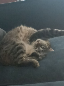 Photo de galerie - La détente absolue
