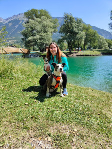 Photo de galerie - Garde chien