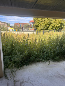 Photo de galerie - Paysagiste - Aménagement du jardin