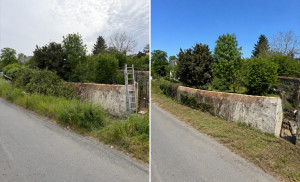 Photo de galerie - Dégagement de lierre sur un mur mitoyen