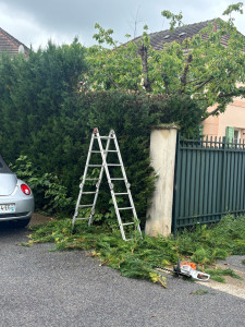 Photo de galerie - Rabattage de haie 