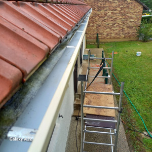 Photo de galerie - Nettoyage d’une gouttière obstruée par la mousse et les feuilles, empêchant une bonne évacuation des eaux de pluie
