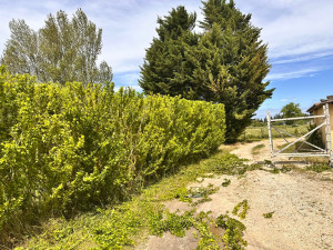 Photo de galerie - Aprés