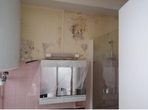 Photo de galerie - Remise en état 