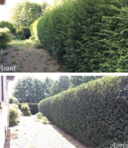 Photo de galerie - Je suis disponible à votre service