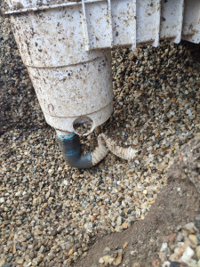 Photo de galerie - Réparation de l'aspiration du skimmer 