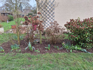 Photo de galerie - Après 