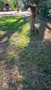 Photo de galerie - Paysagiste - Aménagement du jardin