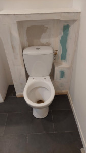Photo de galerie - Remplacement du toilette 