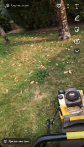 Photo de galerie - Tonte de pelouse 