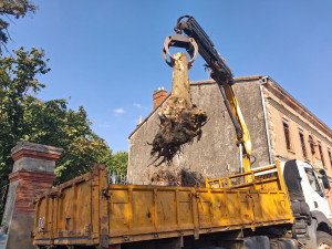Photo de galerie - Évacuation d'une souche de 2 tonnes par dessus le portail. Cette photo n'est pas une IA, le grapin a une force de serrage incroyable.  Il ouvre à 1m20, permet l'évacuation de troncs, branchages etc