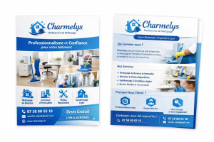 Photo de galerie - Les principales tâches incluent :
Nettoyage des sols (balayage, aspiration, lavage)
Dépoussiérage des meubles et surfaces
Nettoyage des sanitaires et de la cuisine
Lavage des vitres
Gestion du linge (lessive, séchage, repassage)
Désinfection des surfaces