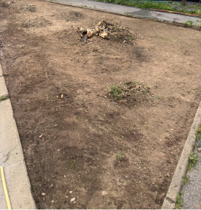 Photo de galerie - Décaisser pour maitre a niveau 