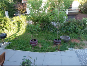 Photo de galerie - Tonte de pelouse - Débroussaillage