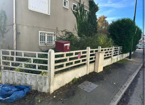 Photo de galerie - Taille de haies et d'arbustes