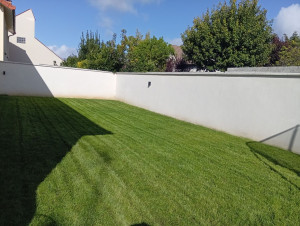 Photo de galerie - Tonte de pelouse 