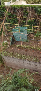 Photo de galerie - Paysagiste - Aménagement du jardin