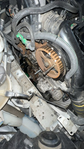 Photo de galerie - Courroie de distribution, pompe à eau  sur 1,6 hdi 